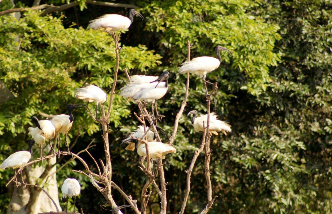 Wasgamu Safari Lodge Wasgamuwa エクステリア 写真