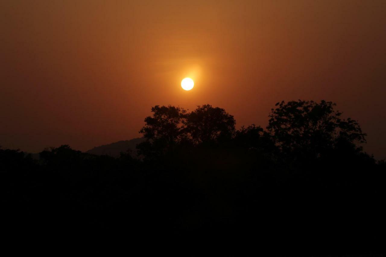 Wasgamu Safari Lodge Wasgamuwa エクステリア 写真