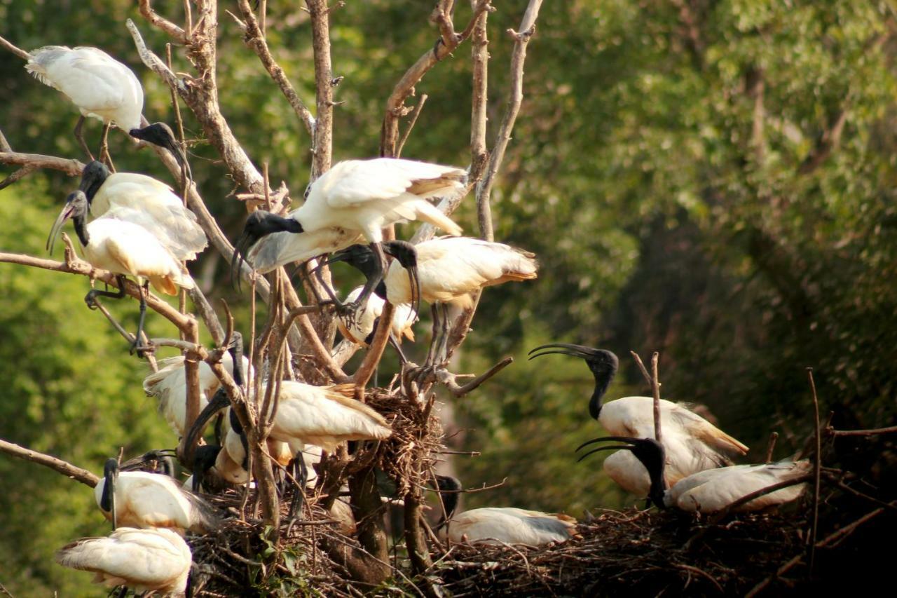 Wasgamu Safari Lodge Wasgamuwa エクステリア 写真