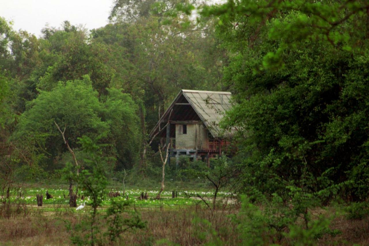 Wasgamu Safari Lodge Wasgamuwa エクステリア 写真