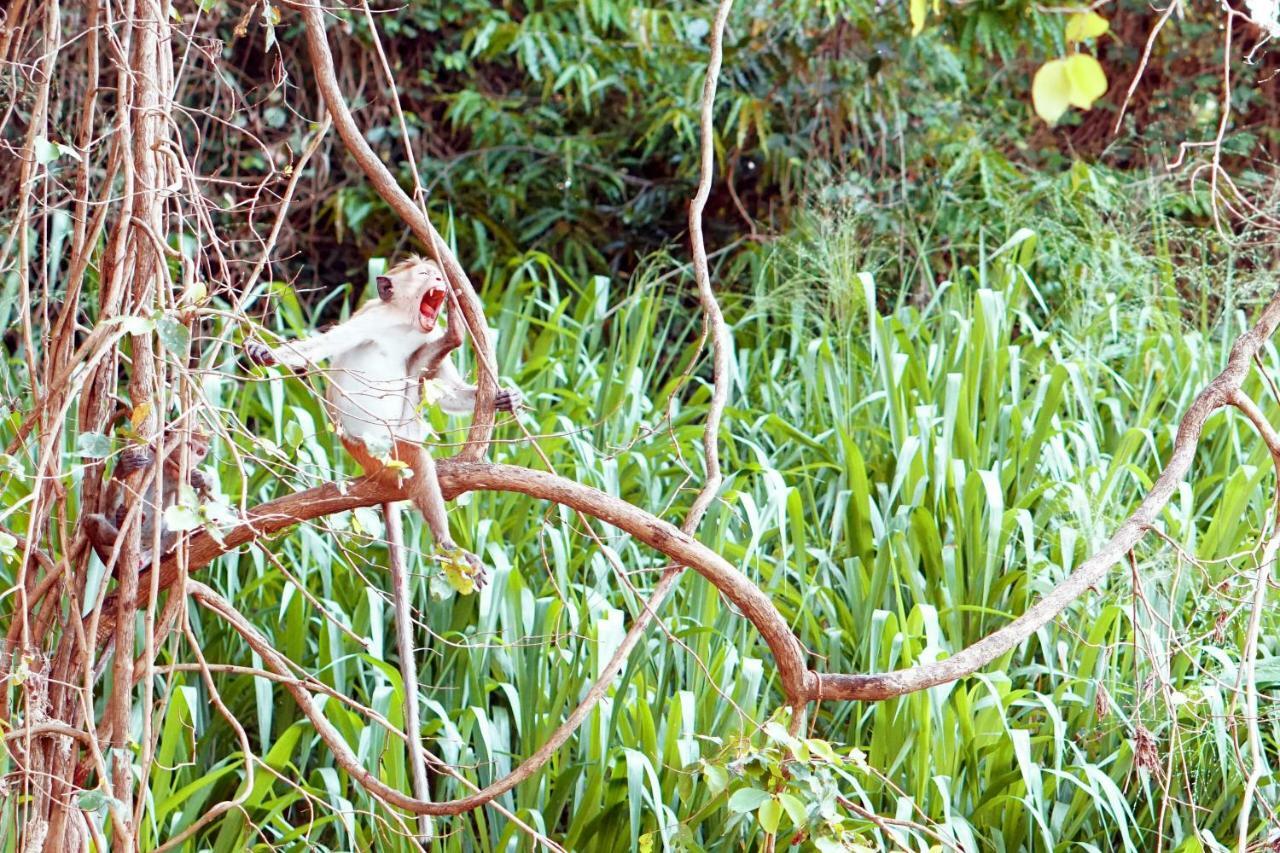 Wasgamu Safari Lodge Wasgamuwa エクステリア 写真
